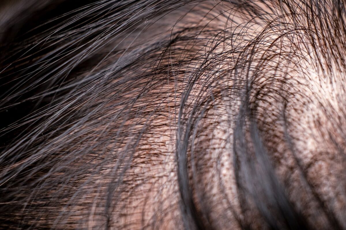 Hair growth guide